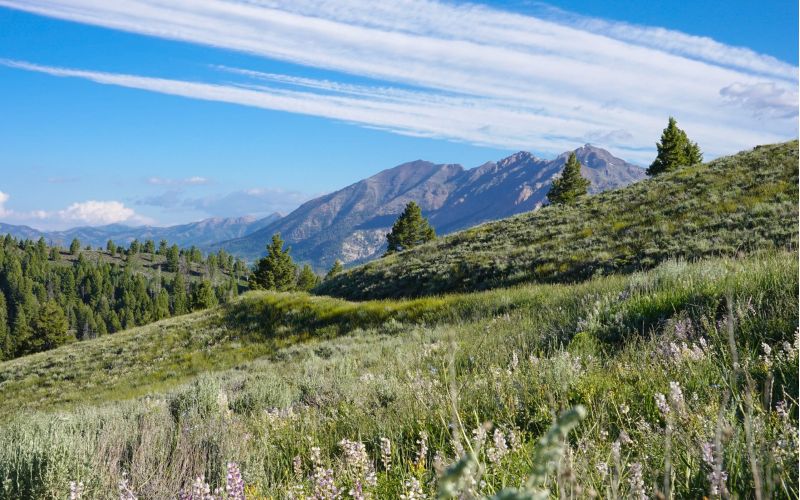 Book direct in Sun Valley for mountainside views!