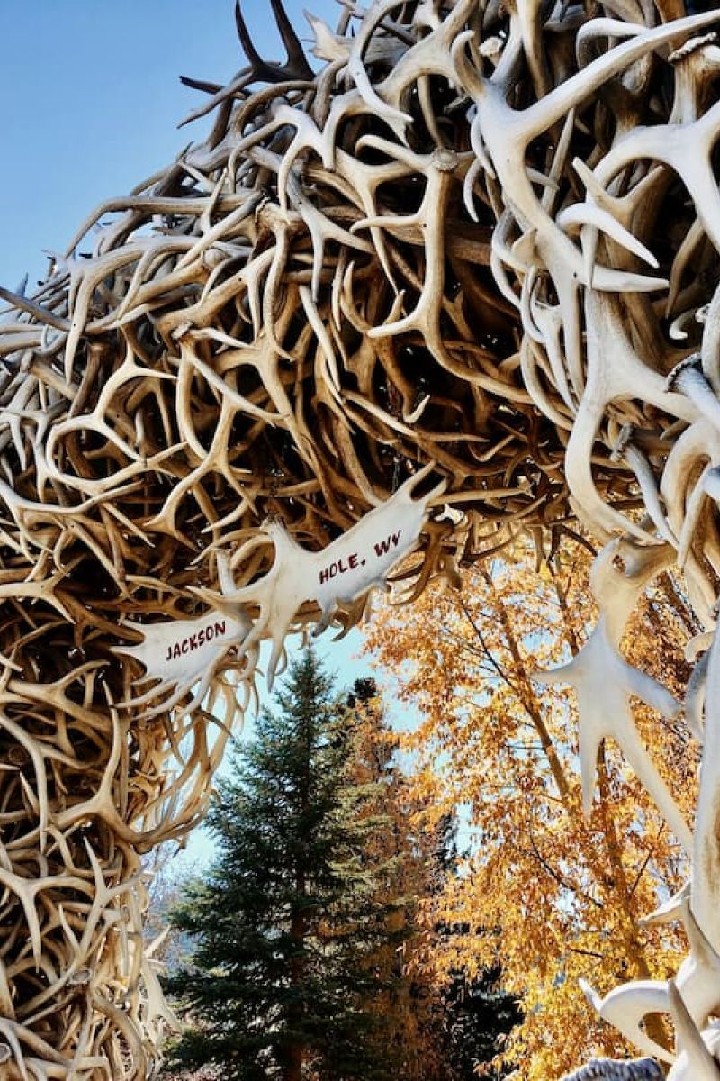 Antler arch in Jackson Hole town square framing autumn trees