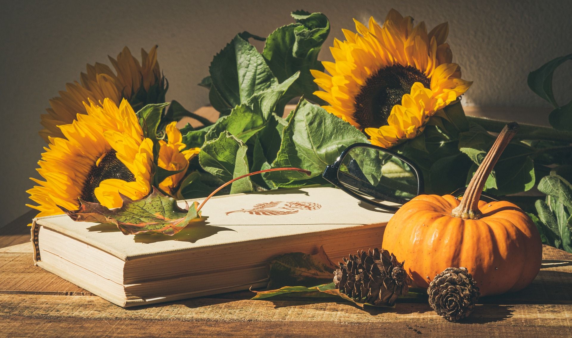 Guide to Thanksgiving in Jackson Hole Featured Image