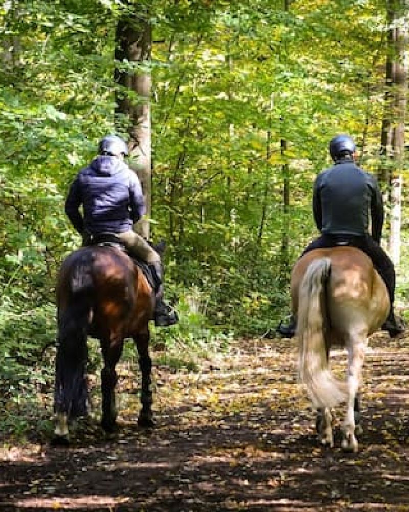 Two riders on horseback on a wooded trail with autumn foliage