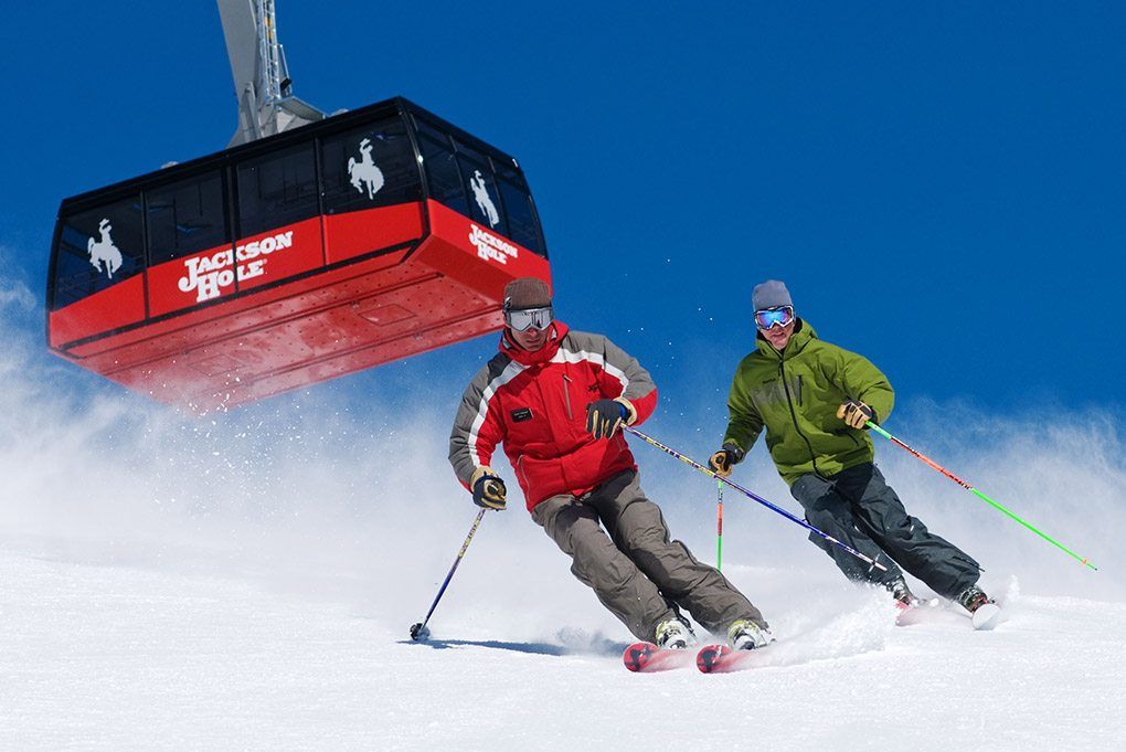 RIDE THE ALPINE SLIDE IN JACKSON HOLE Featured Image