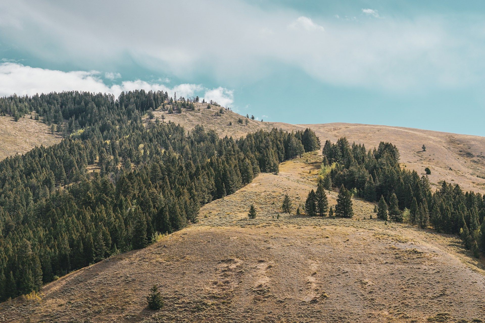 Get an Early Start to Labor Day Weekend Plans in Jackson Hole Featured Image