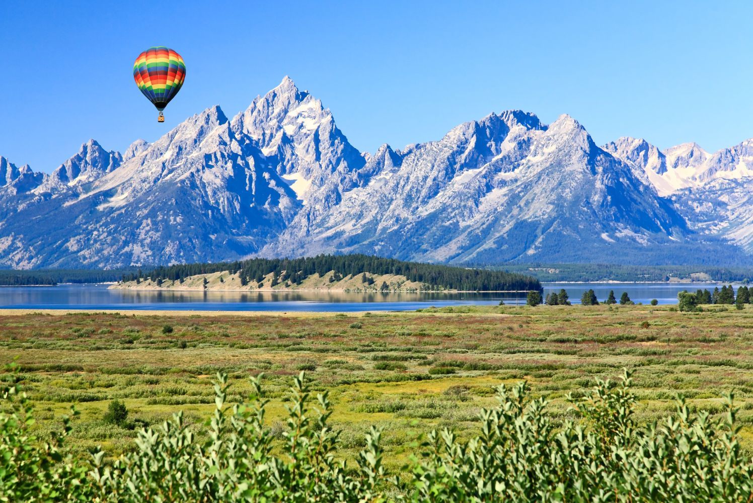 Summer Openings and Events in Jackson Hole Featured Image