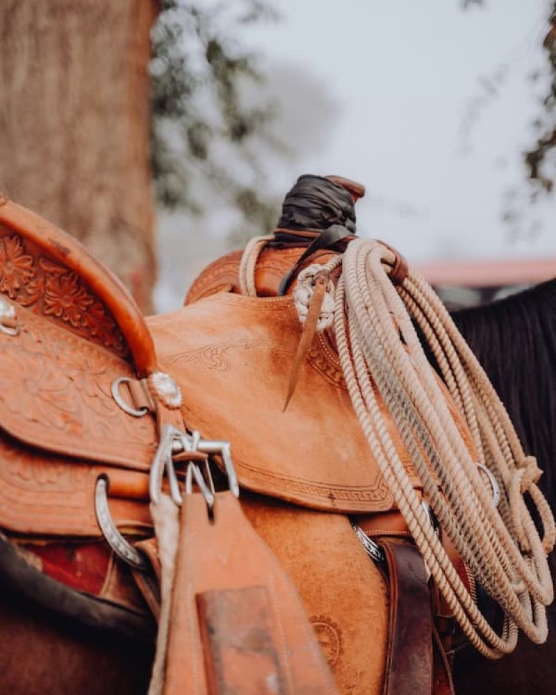 Tooled leather western saddle with coiled lariat rope mounted on a horse