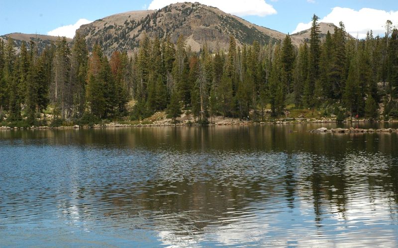 Alpine lake in the Uinta Mountains framed by pine forest and a rocky peak