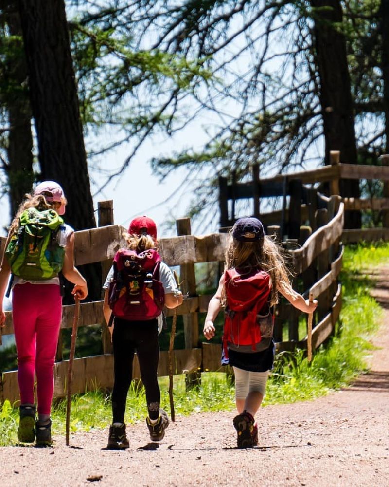 Three young hikers with backpacks walking a wooded trail along a wooden fence