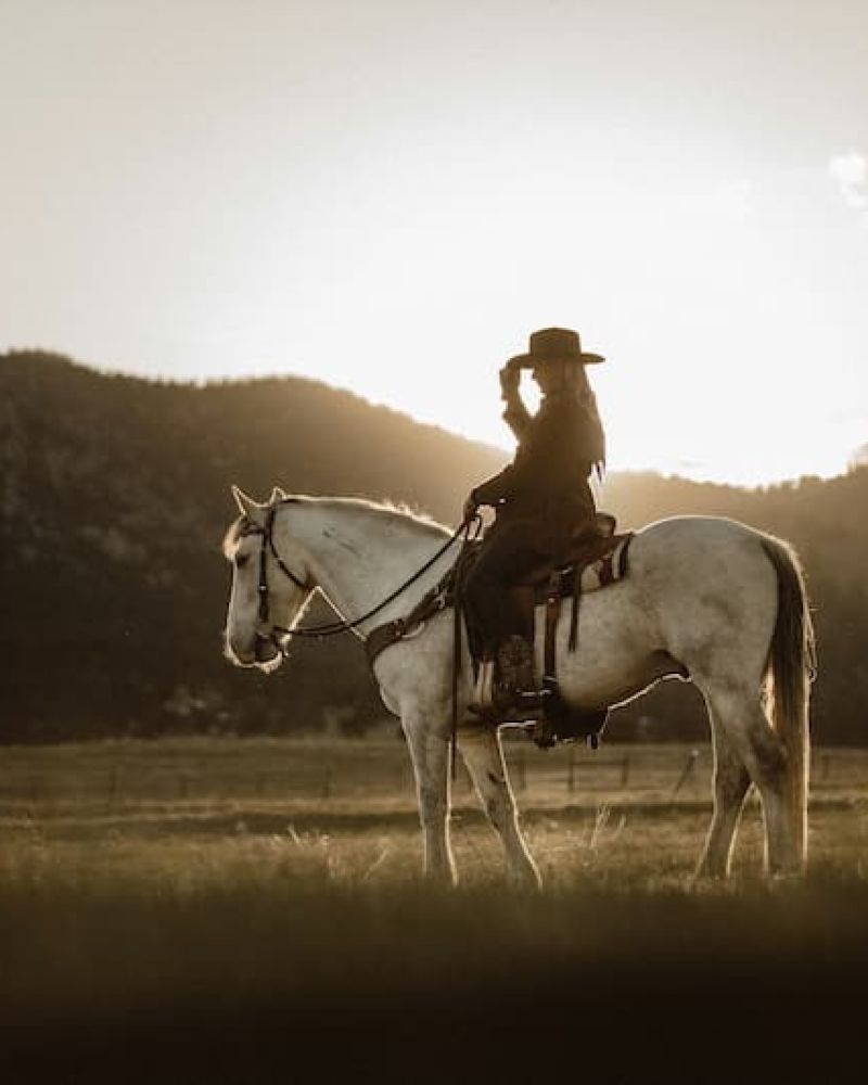 Rider on a white horse silhouetted against mountains at sunset