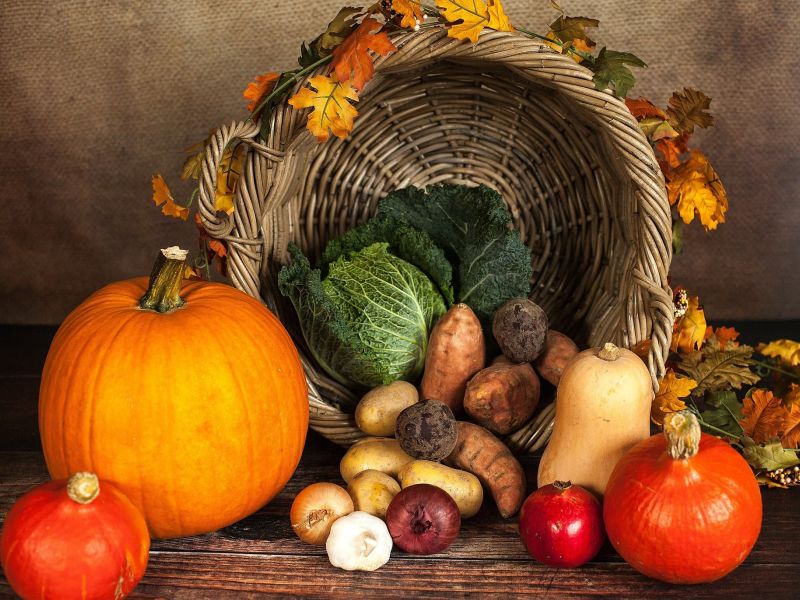 Autumn cornucopia basket spilling pumpkins, root vegetables and gourds