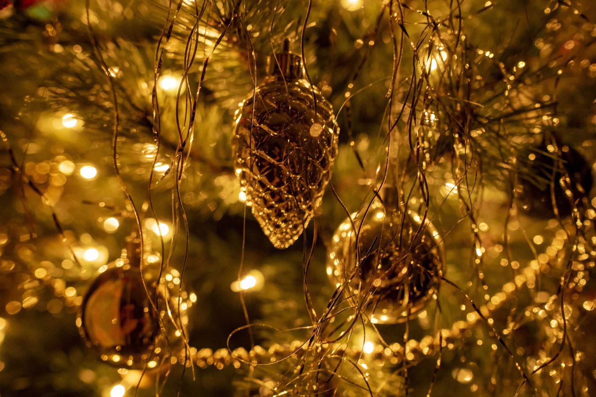 Add Magic to Your Visit with Holiday Events in Jackson Hole Featured Image