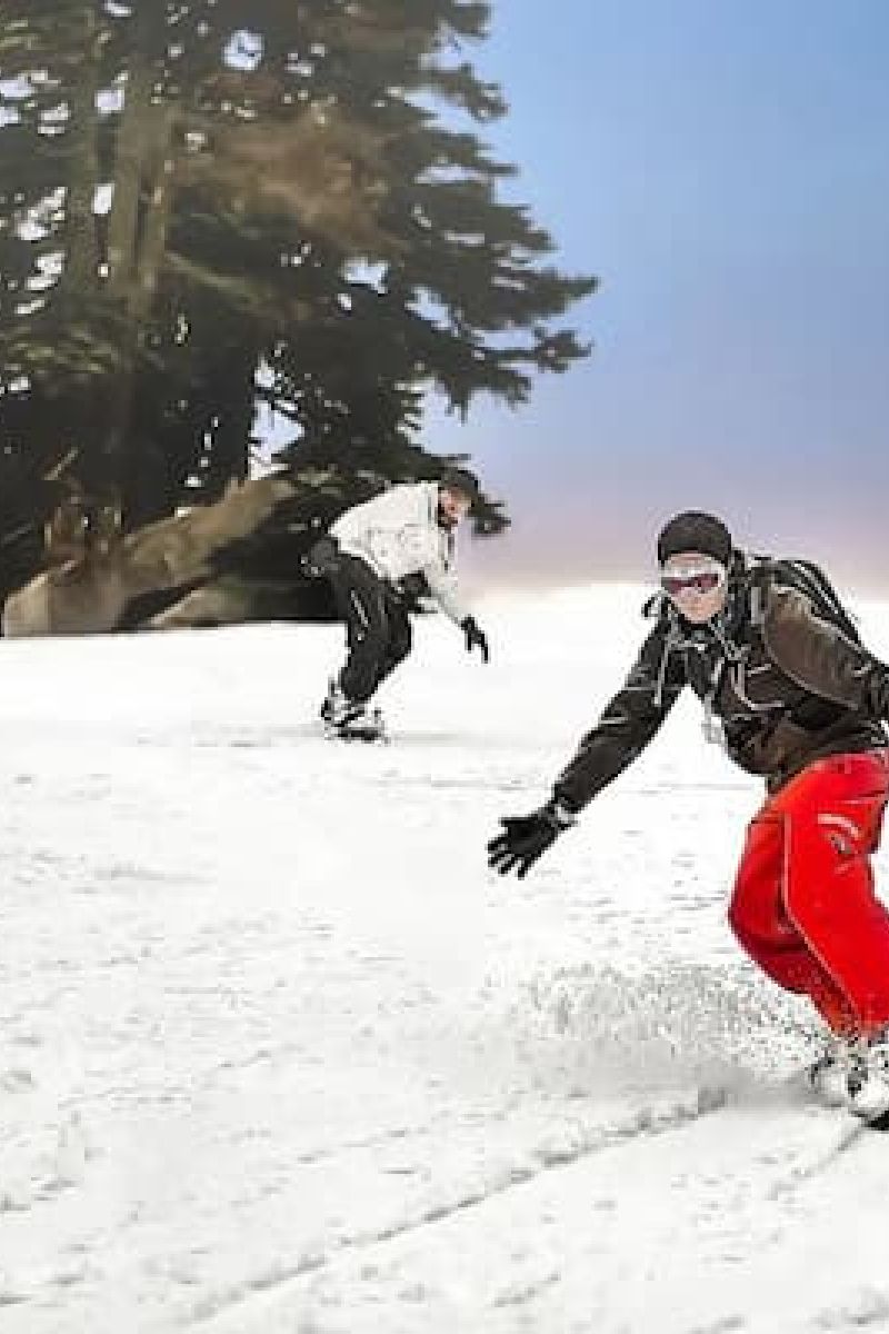 Two snowboarders descending a snowy slope past evergreen trees
