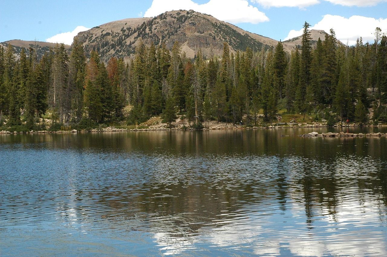 Slowing Down To The Rhythm Of The Wasatch Country Featured Image