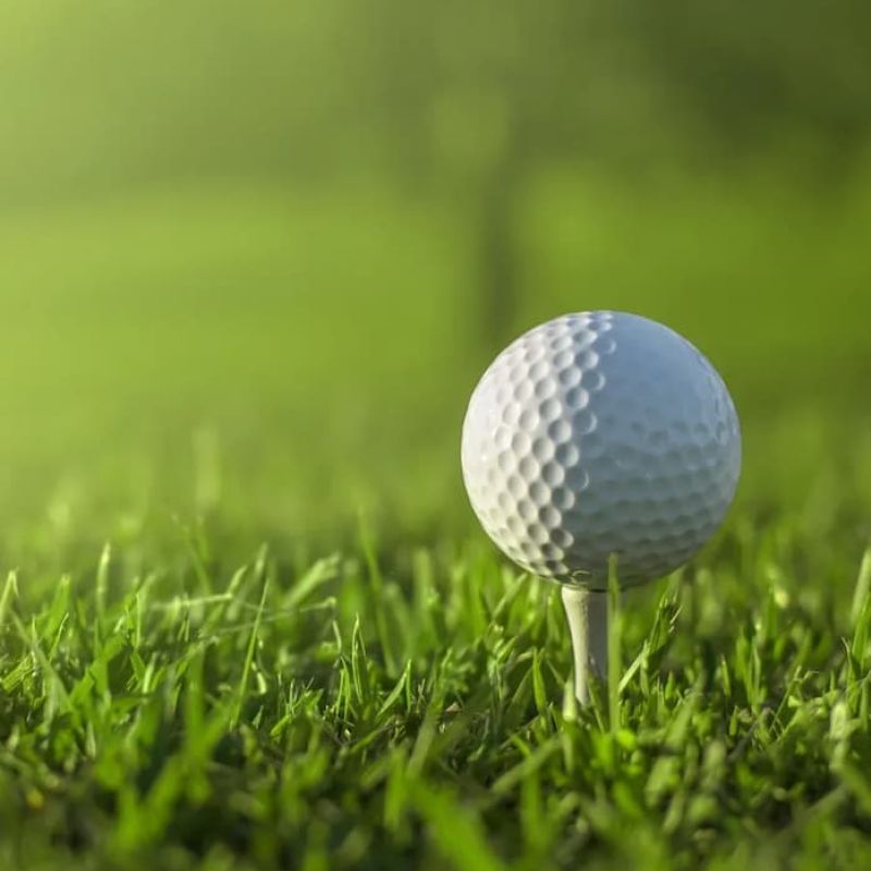 Golf ball resting on a tee in green fairway grass