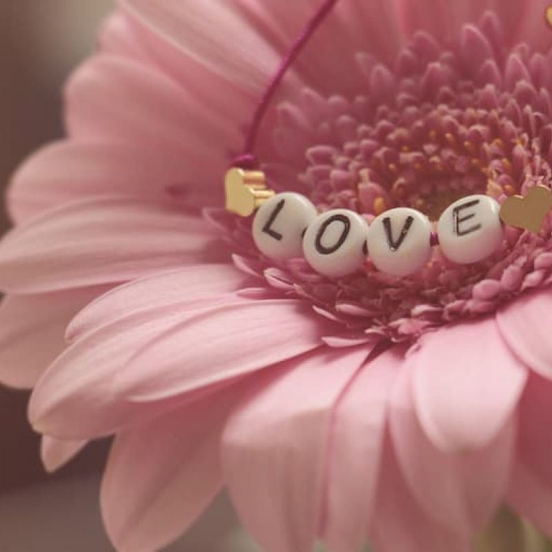 Pink gerbera daisy with a beaded LOVE bracelet at its center