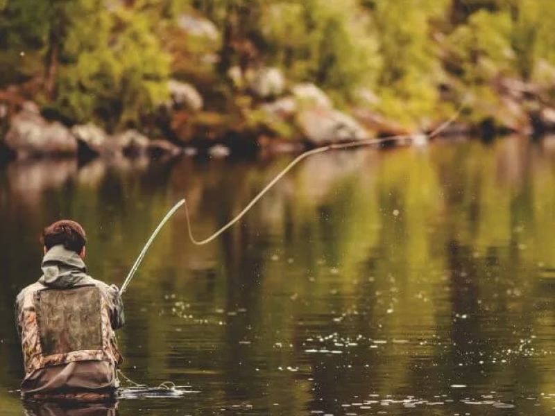 Fly fisherman casting a line while wading in a calm forest river