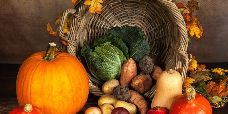 Autumn cornucopia basket spilling pumpkins, root vegetables and gourds