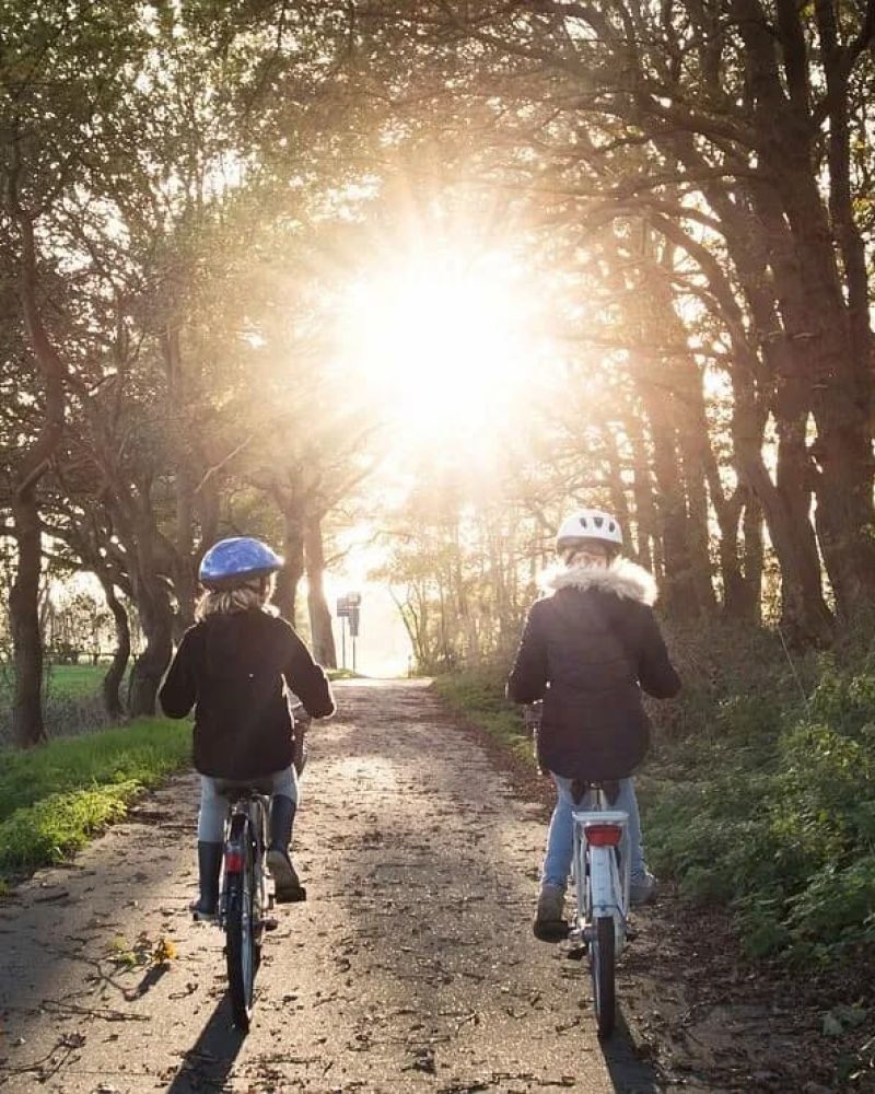 Two children bicycling down a tree-lined path into golden sunlight