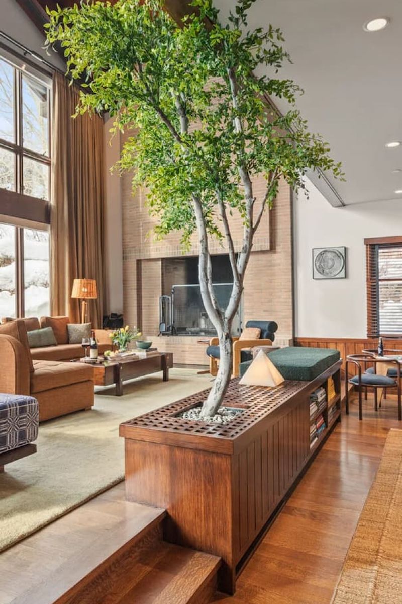 Open living room with a tall indoor tree planted in a wooden bench