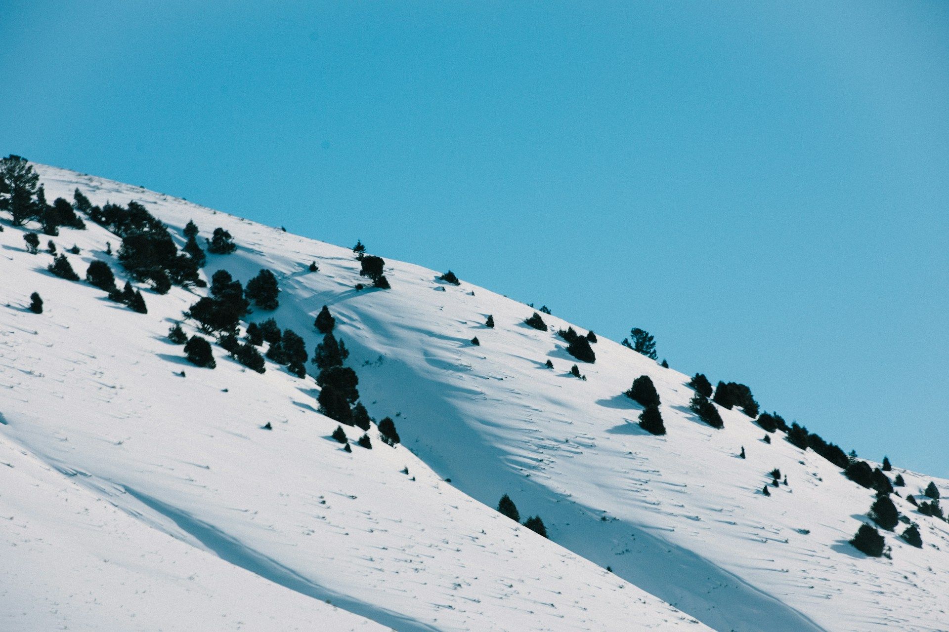 Your Guide to Beginner, Intermediate, and Advanced Ski Slopes in Jackson Hole Featured Image