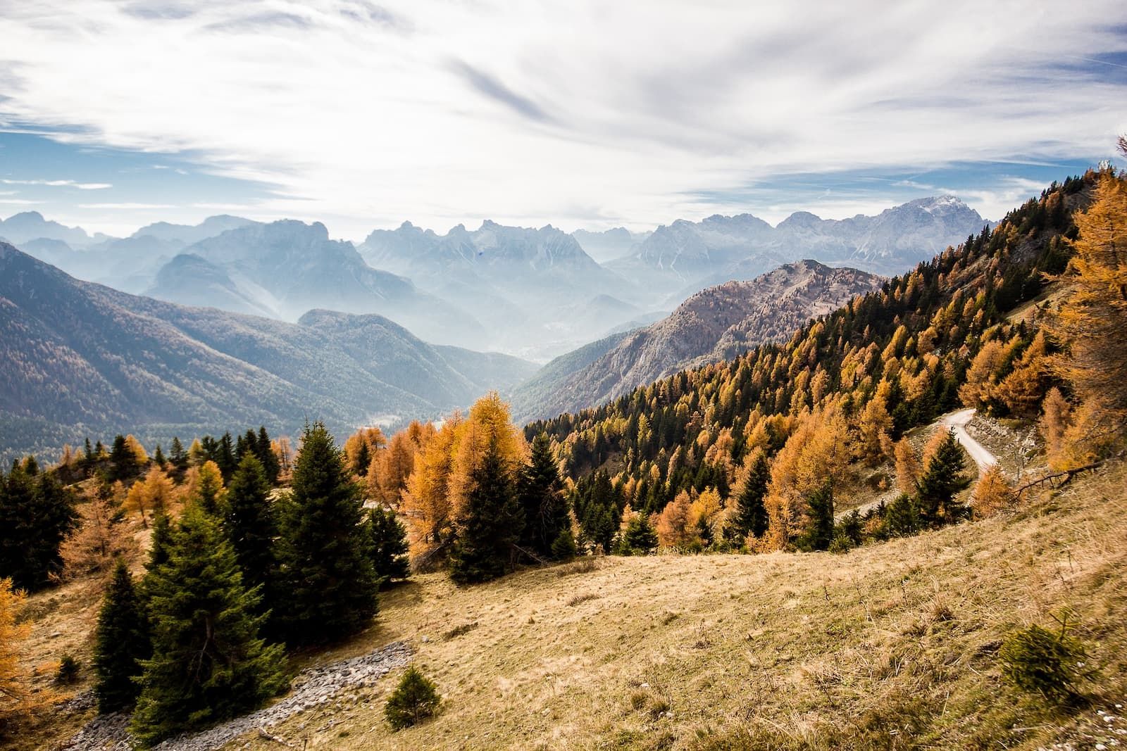 Autumn mountain landscape with golden larches and distant peaks