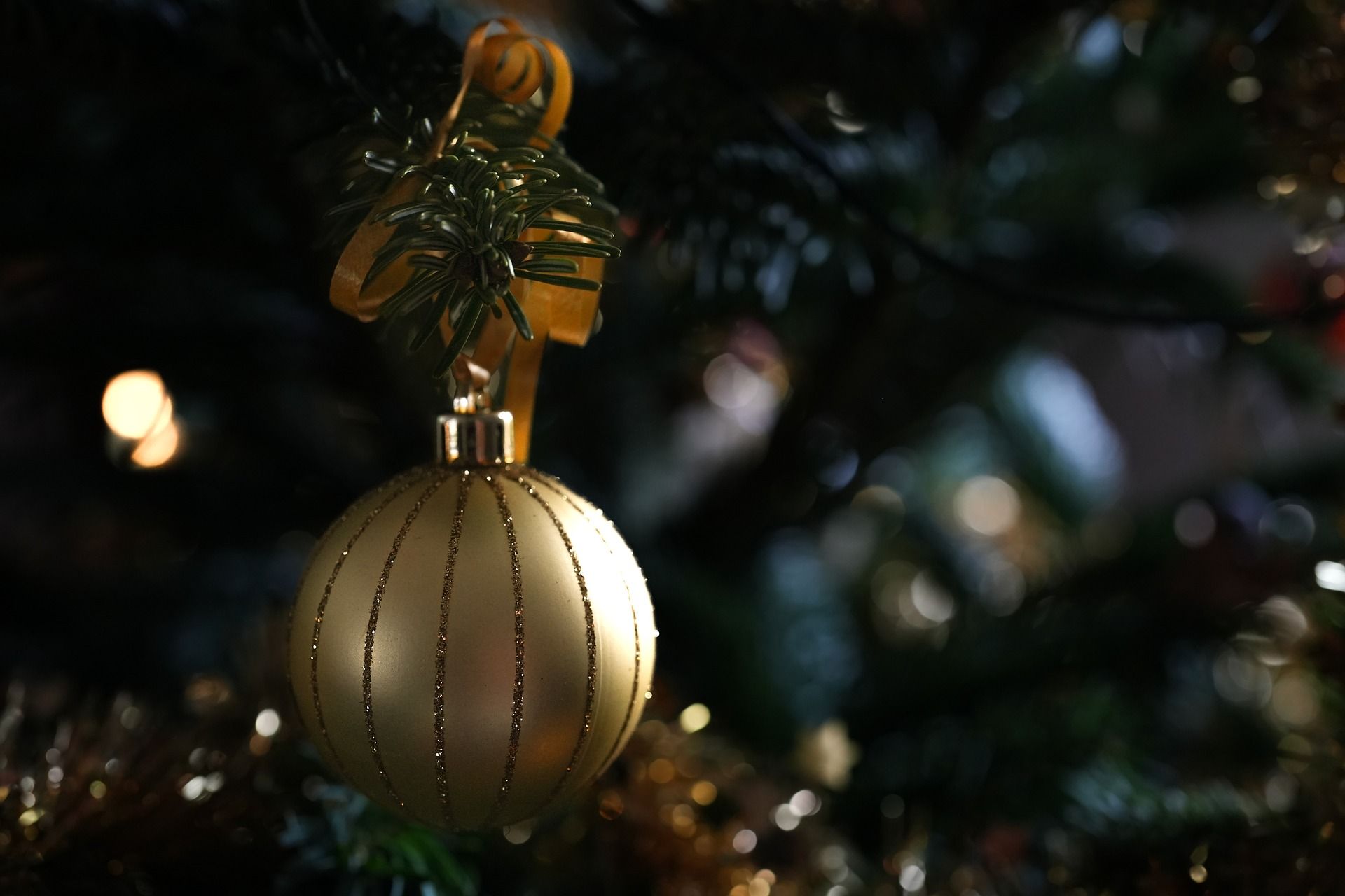 Where to See Christmas Lights and Displays in Jackson Hole Featured Image