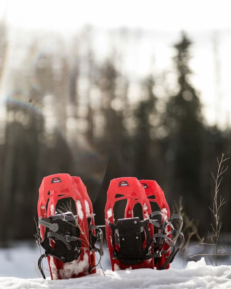 Pair of red MSR snowshoes standing upright in snow with bokeh forest behind