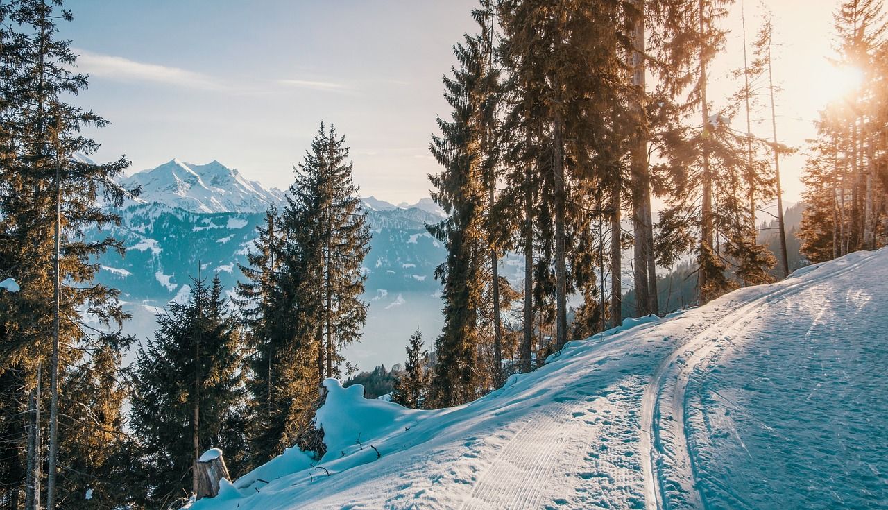 Make Your New Year’s Resolution to Travel to Park City Featured Image