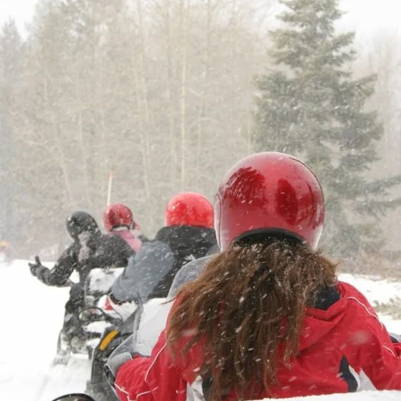 Group of riders on snowmobiles trailing through a snowy forest