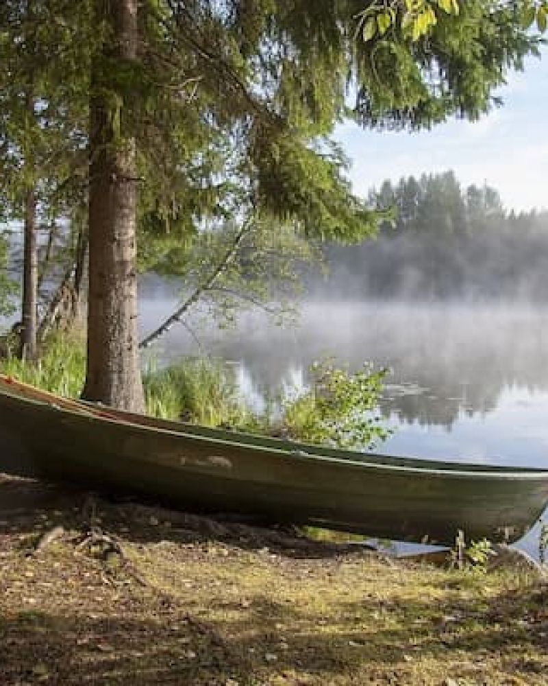 Wooden canoe resting on a forested lakeshore in morning mist