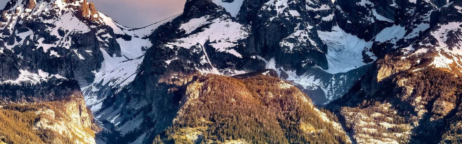 Snow-streaked Grand Teton peaks rising above forested ridges at dusk
