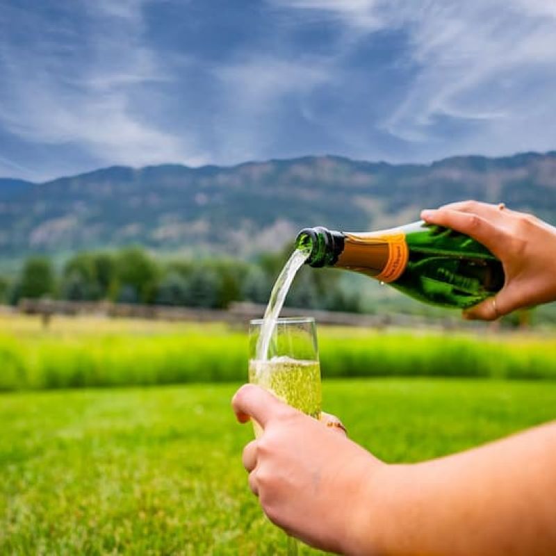 Hands pouring sparkling wine into a flute with mountains and meadow behind