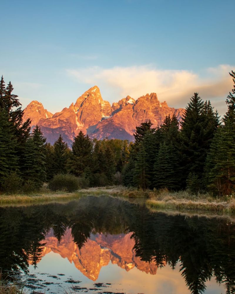 Grand Teton peaks reflected in a calm pond at sunrise framed by pine trees