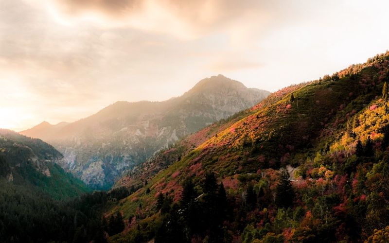 Mountains