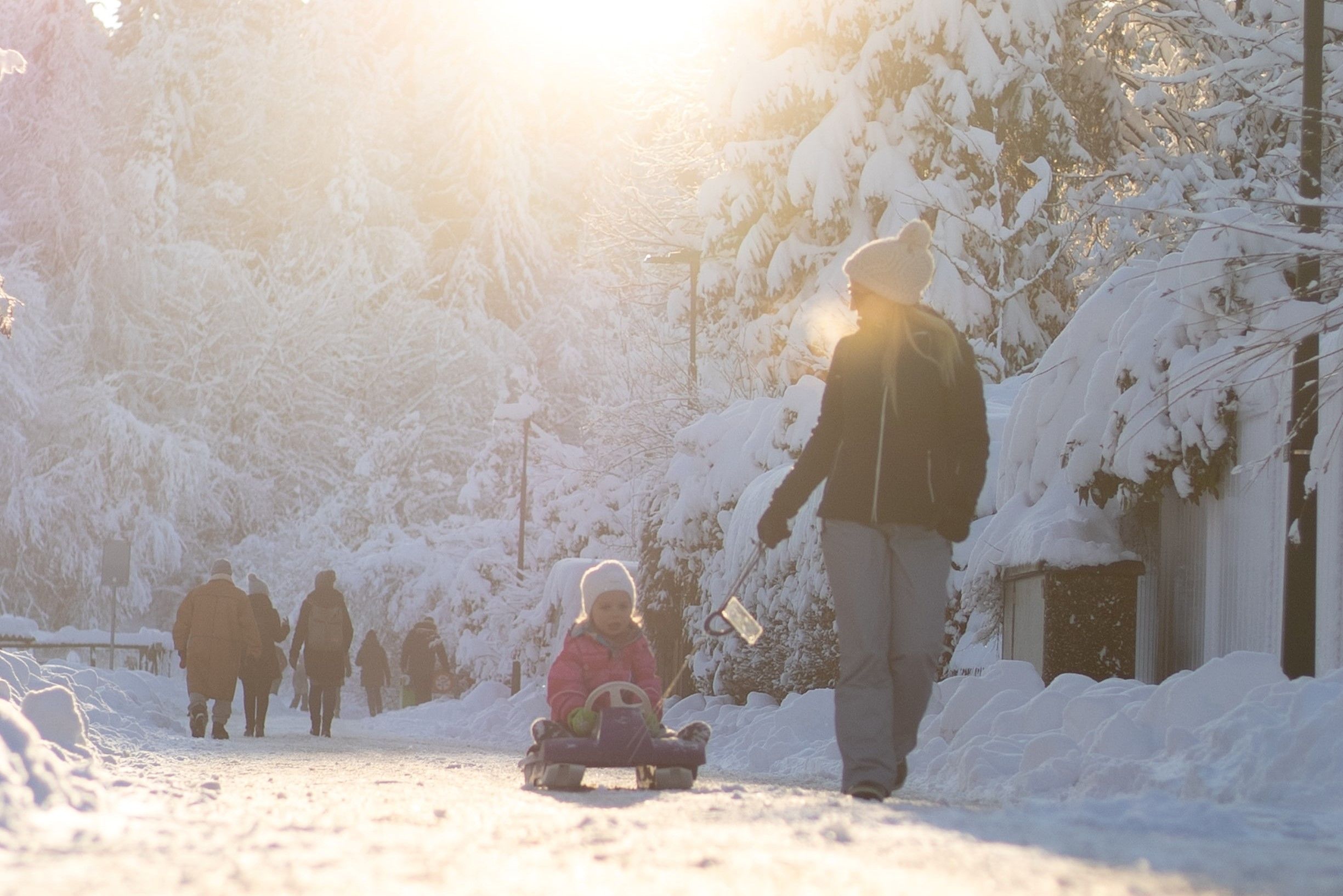 Park City Calendar Winter 2021-22 Featured Image