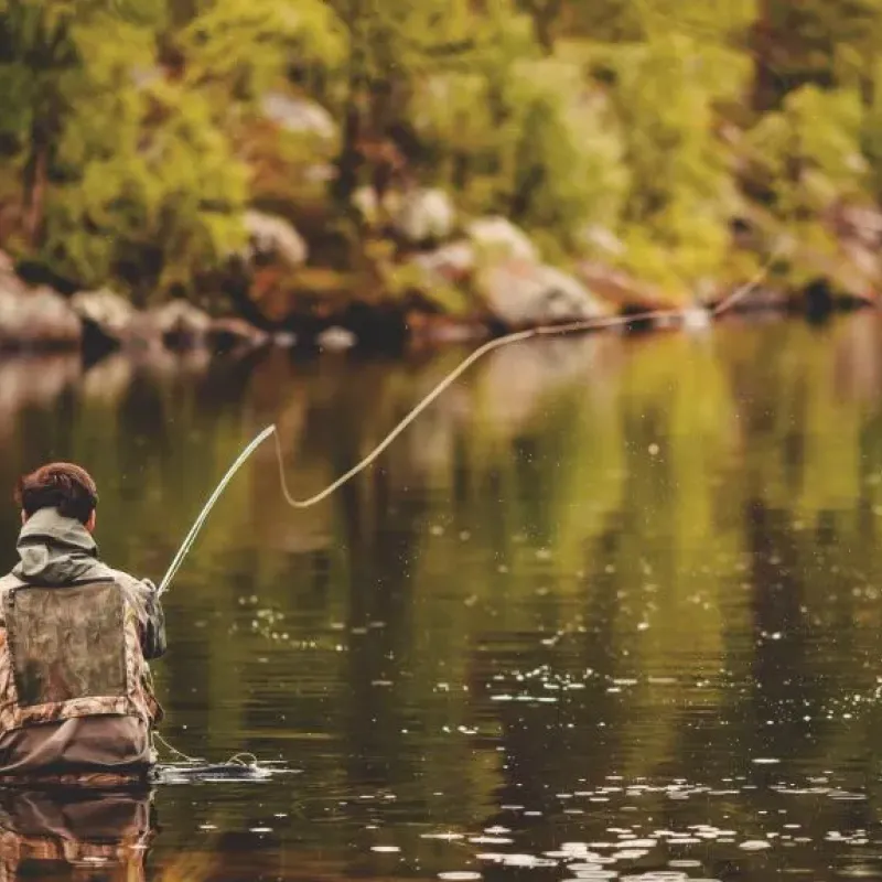 Fly fisherman casting a line into a calm forested river