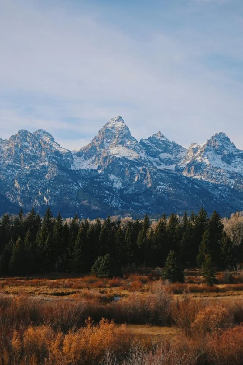 Snow-dusted Teton range rising above an autumn meadow and pine forest