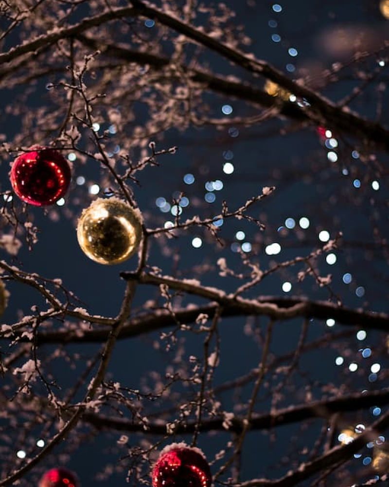 Red and gold ornaments hanging from snow-dusted bare branches at night