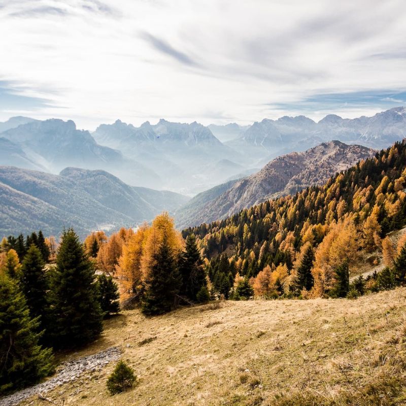 Autumn mountain landscape with golden larches and distant peaks