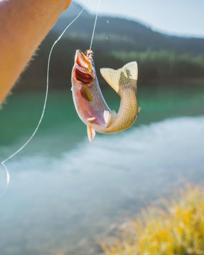 Angler holding a freshly caught trout above a calm river