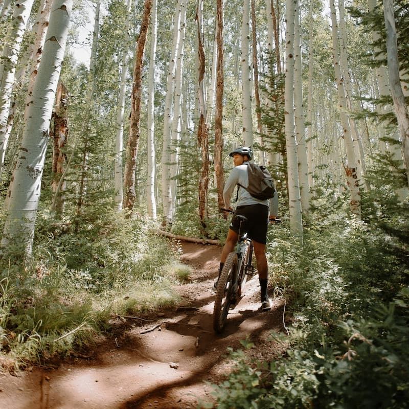 Mountain biker pedaling a singletrack trail through tall aspen trees