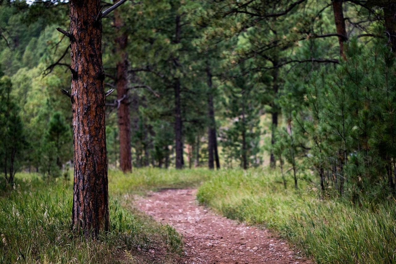 Summer Vacation In Park City – Check Out Deer Valley Featured Image