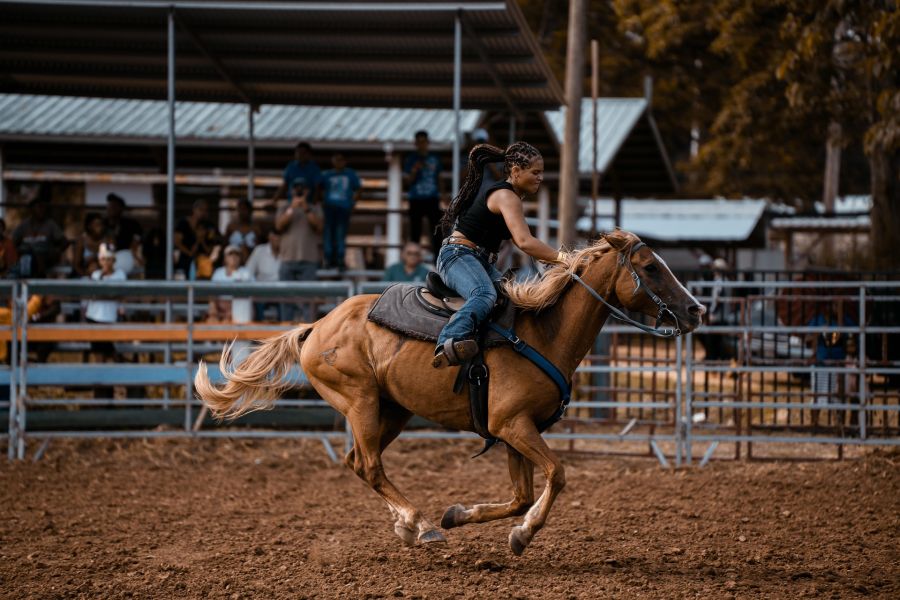 Enjoy the Jackson Hole Rodeo Enjoy the Jackson Hole Rodeo Enjoy the Jackson Hole Rodeo