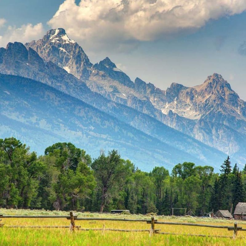 Grand Teton range rising above an aspen meadow with a wooden fence and weathered barn
