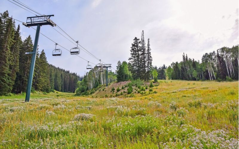 Park City Summer