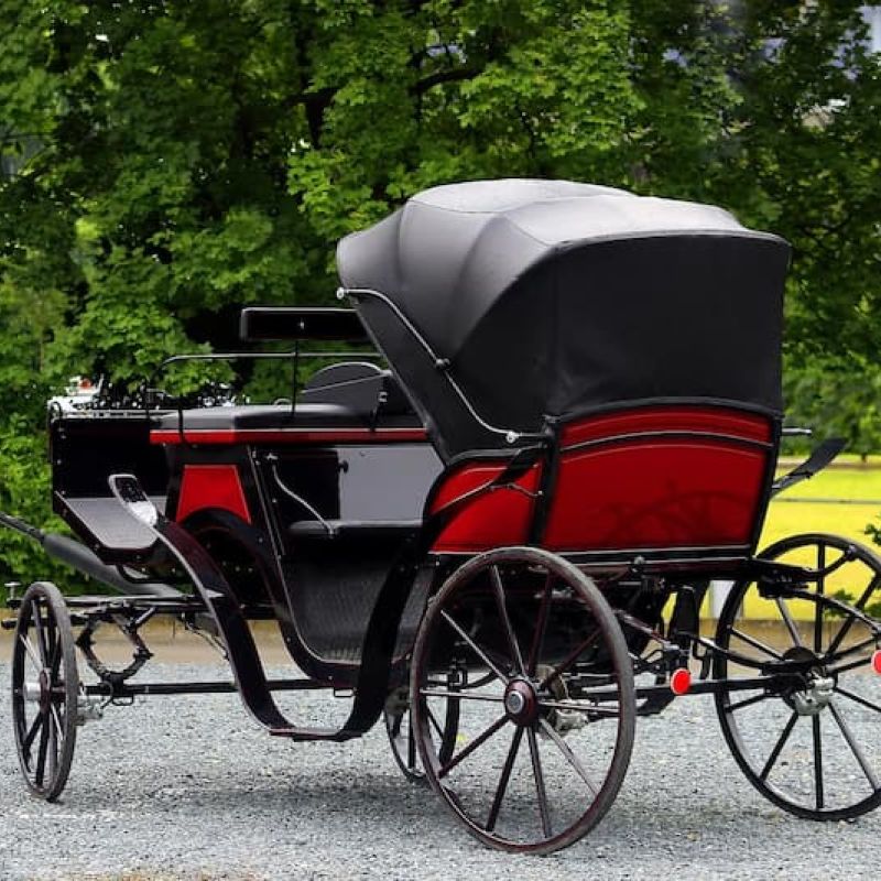Black and red horse-drawn carriage parked on gravel beside trees