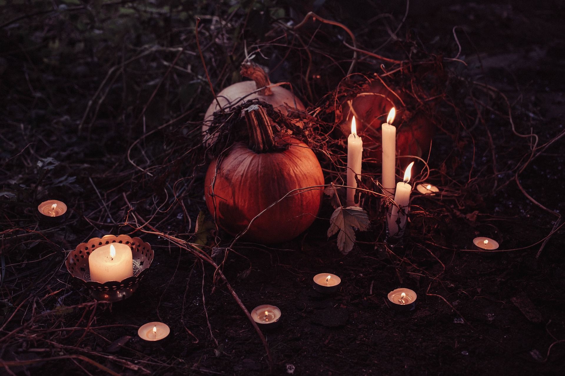 Spend Your 2023 Halloween in Jackson Hole Featured Image