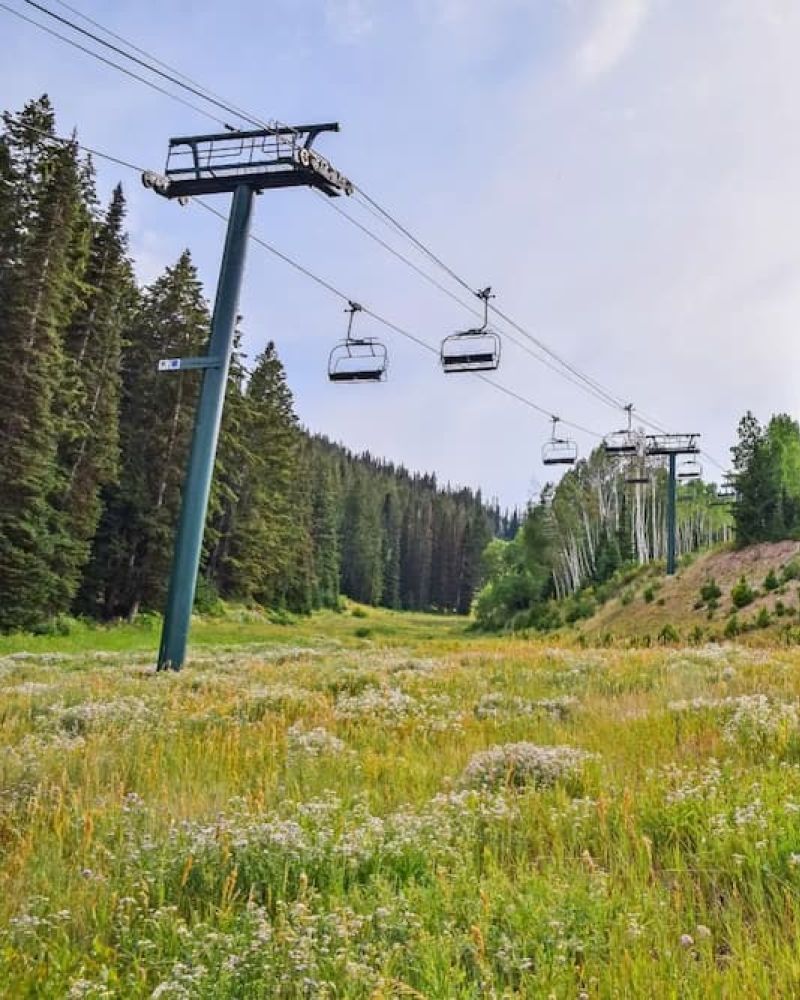 Summer chairlift over a mountain meadow of wildflowers and pines