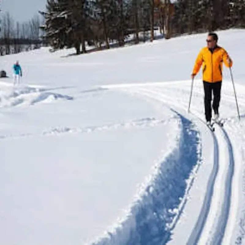Cross-country skier in yellow jacket gliding along a groomed snow track
