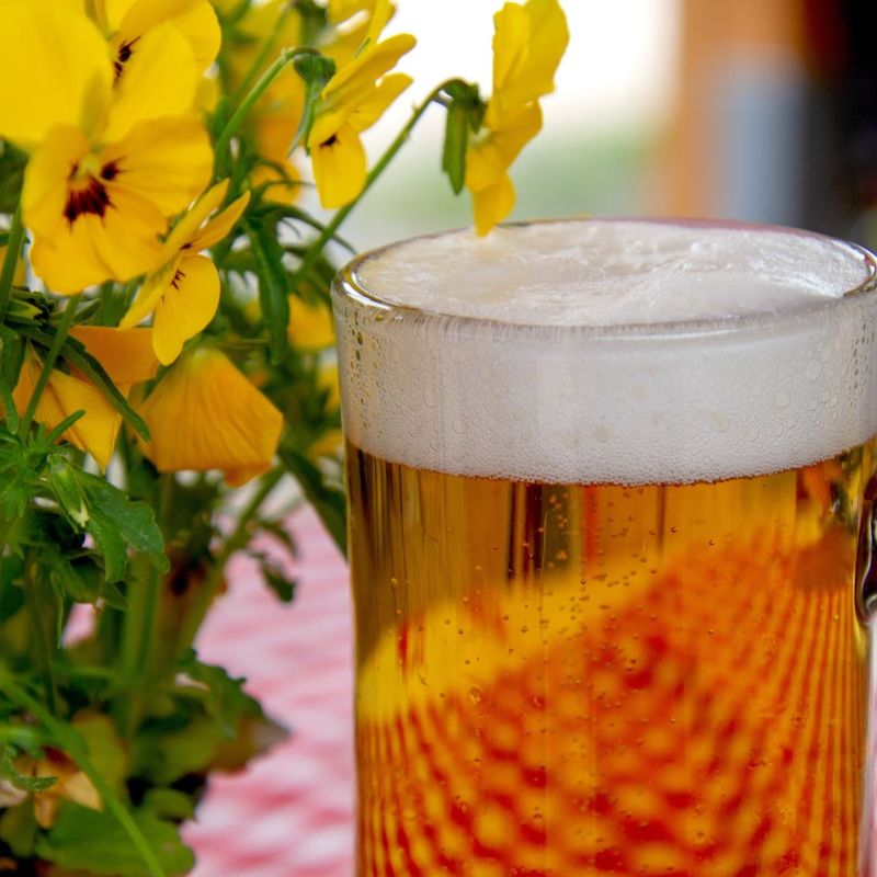 Mug of golden beer beside yellow pansy flowers