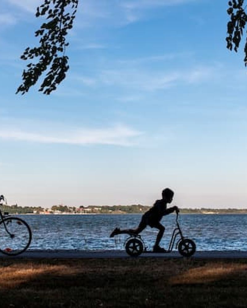 Silhouettes of three children biking and scootering along a lakeside path at dusk