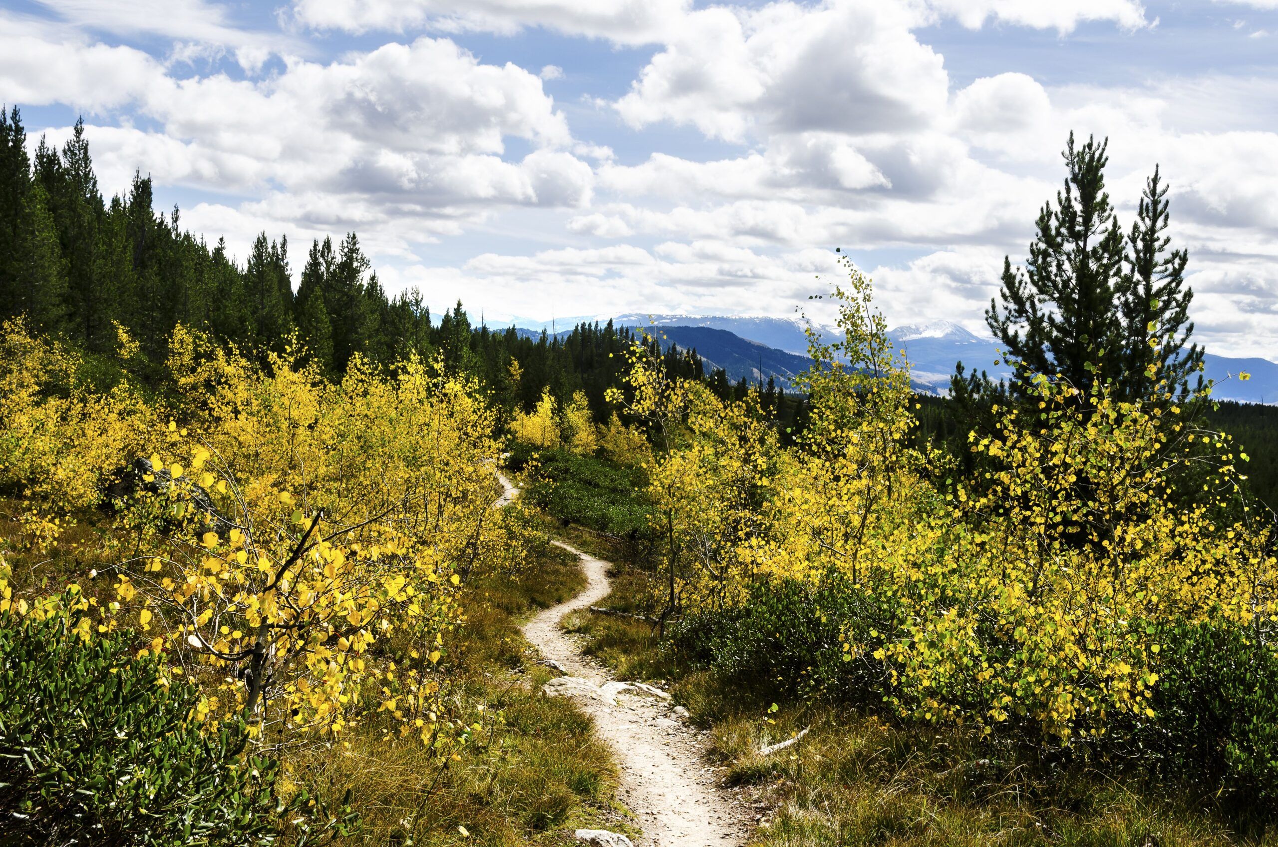Top Sun Valley Idaho Summer Activities Featured Image